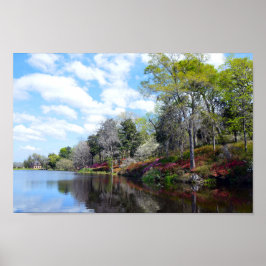 Azaleas vid Ris Mill Pond Poster