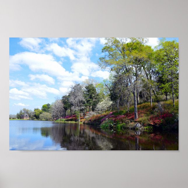 Azaleas vid Ris Mill Pond Poster (Framsidan)