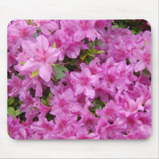 AZALEOR Azaleablommor MUSDÄCKEN MUSDÄCKEN Musmatta