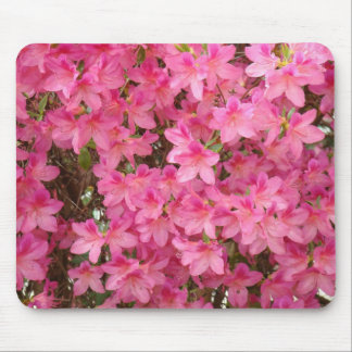 AZALEOR Azaleablommor MUSDÄCKEN MUSDÄCKEN Musmatta
