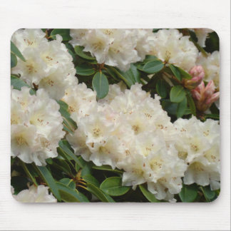 AZALEOR Azaleablommor MUSDÄCKEN MUSDÄCKEN Musmatta
