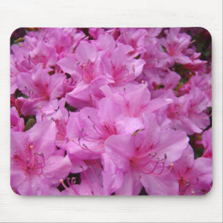 AZALEOR Azaleablommor MUSDÄCKEN MUSDÄCKEN Musmatta