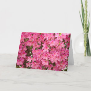 AZALEOR Azaleblommor GRATTULATIONSKORT KORT NOTERI