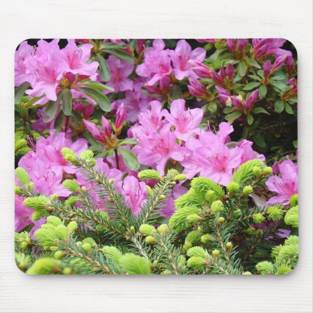 AZALEOR Blommor MUSMATTOR Tall MUSMATTOR (Framsidan)