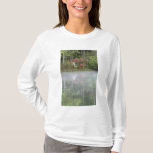 Azaleor som reflekteras i en damm under tidig tee