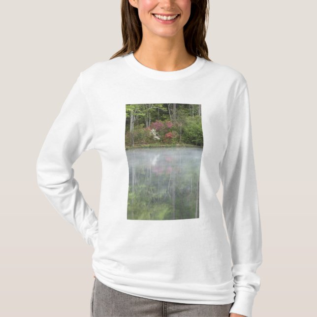 Azaleor som reflekteras i en damm under tidig tee (Framsida)