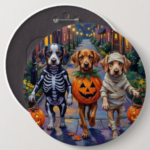Azawakh-hundar som går runt på halloweenfirande me knapp