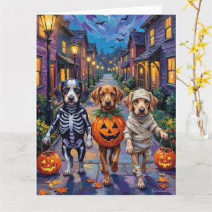 Azawakh-hundar som söker godis på Halloween-kostym Kort