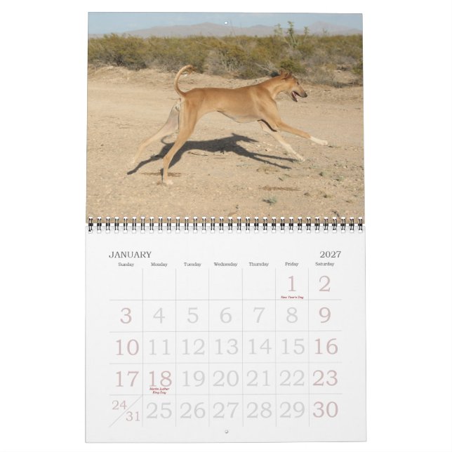 Azawakh-kalender 2011 kalender (Jan 2027)