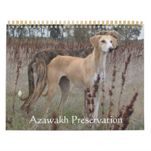 Azawakh-kalender 2011 kalender