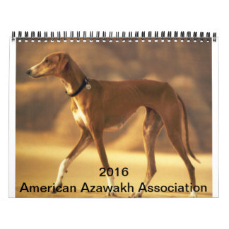 Azawakh kalender 2016