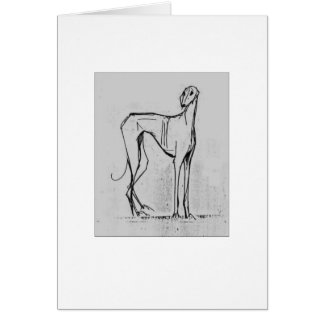 Azawakh kort av David Moore