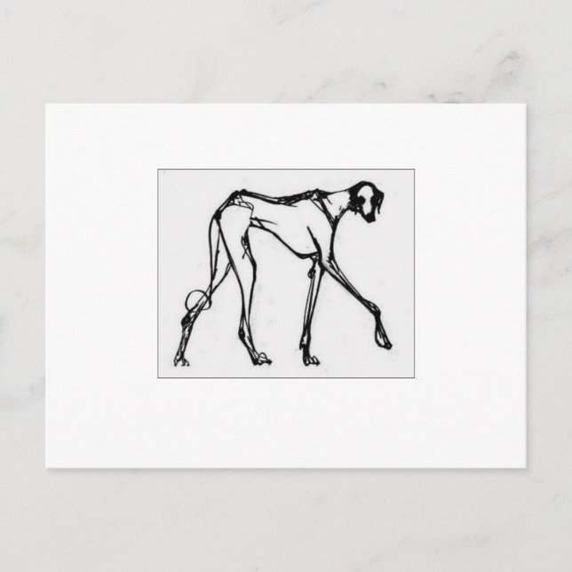 Azawakh Postcard 2 Vykort (Framsida)