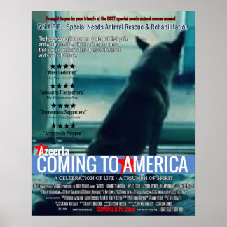 Azeerta - kommer till Amerika Poster
