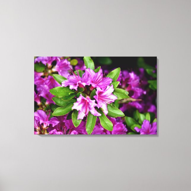 Azelia kanvastryck (Framsida)