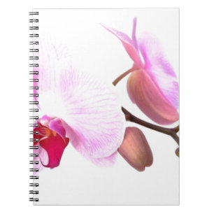 Aziza Orchid-Blommar Anteckningsbok Med Spiral