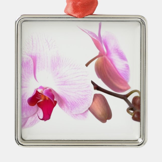 Aziza Orchid-Blommar Julgransprydnad Metall (Framsidan)