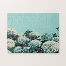 Azorernas gåva, Hydrangeas Illustration Portugal