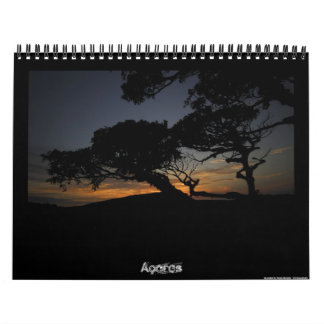 Azores 2011 kalender