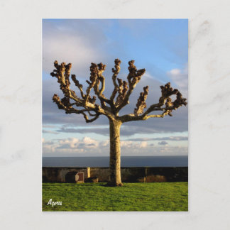 Azres Postcard-Ermida da mae de Deus Vykort