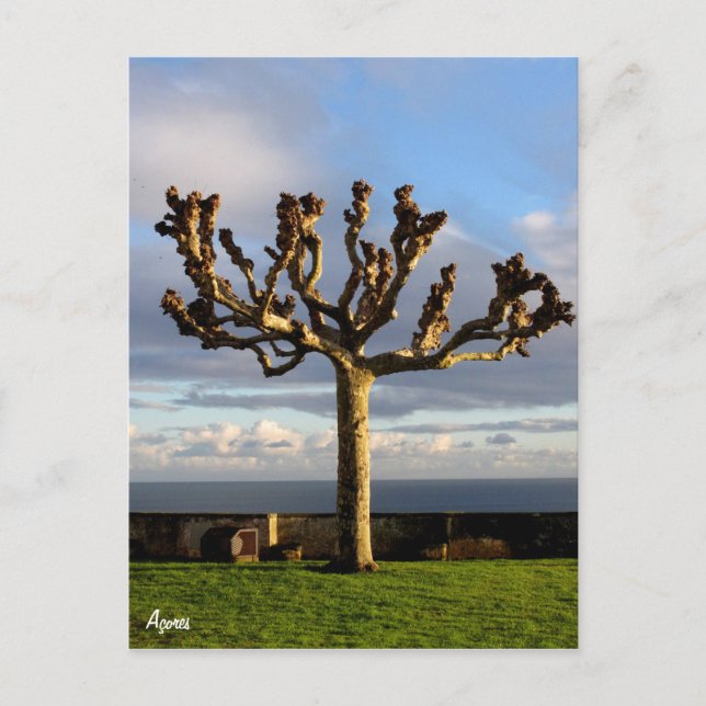 Azres Postcard-Ermida da mae de Deus Vykort (Framsida)