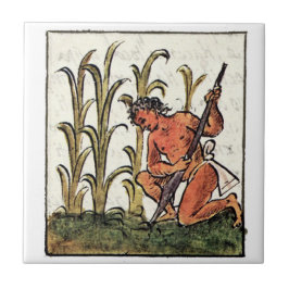 Aztec Farmer som odlar majs Kakelplatta