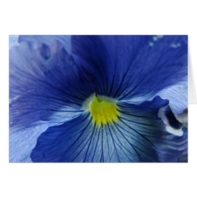 Azul Hälsningskort (Framsidan Horizontal)