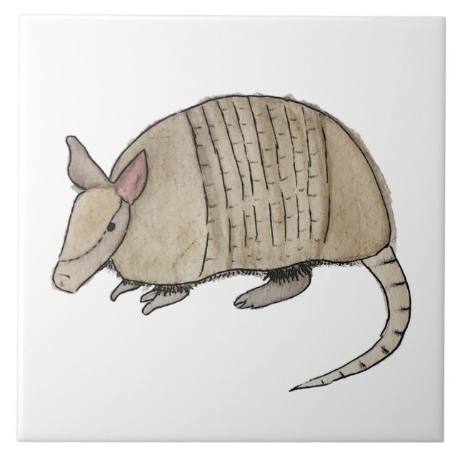Azulejo de armadillo  kakelplatta (Framsidan)