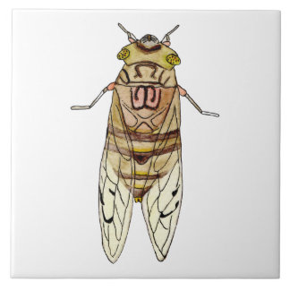 Azulejo de cigarra gigante kakelplatta
