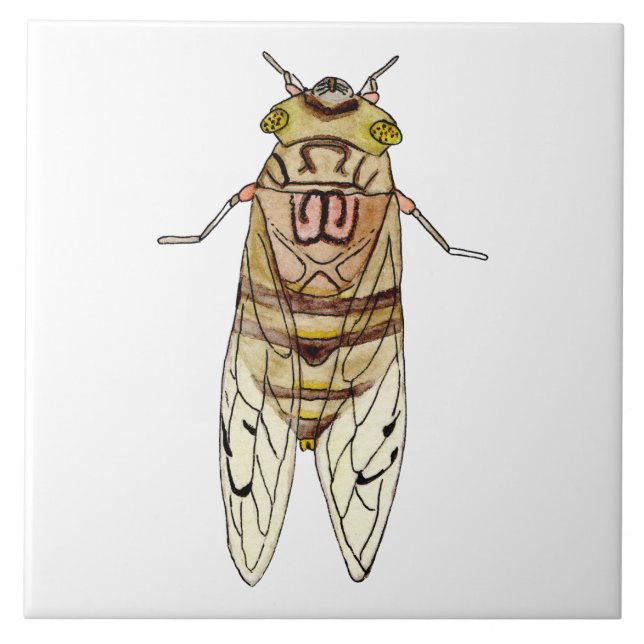 Azulejo de cigarra gigante  kakelplatta (Framsidan)