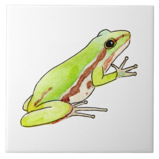 Azulejo de rana arborícola kakelplatta