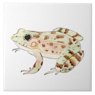 Azulejo de rana leopardo kakelplatta