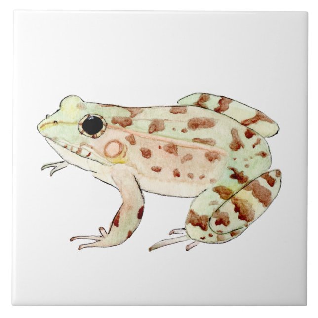 Azulejo de rana leopardo  kakelplatta (Framsidan)