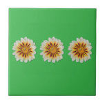 Azulejo Decorativo Verde Flor Minimalista Joaninha Kakelplatta<br><div class="desc">Lindo Azulejo Decorativo com a flor gazânia,  com gotas de chuva,  recebendo a visita de uma joaninha. Beleza e simplicidade:presentes da Natureza. Foto autoral feita no Brasil</div>