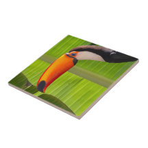 Azulejos design Tucano