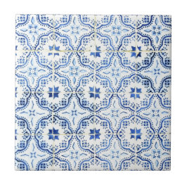 Azulejos, Portuguese Tiles Kakelplatta