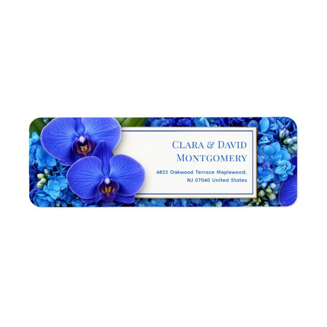 Azur Hortensia Hydrangea Botanisk Returadress Etikett (Framsidan)