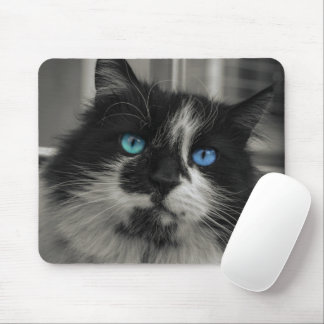 Azur Själ Svart Katt Blå Ögon Musmattor