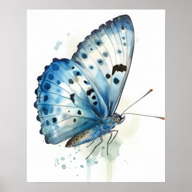 Azure Butterfly Art Print Poster (Framsidan)