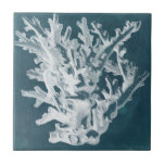 Azure Coral I Kakelplatta<br><div class="desc">Havsliv</div>