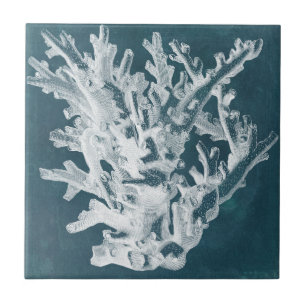 Azure Coral I Kakelplatta
