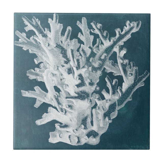 Azure Coral I Kakelplatta (Framsidan)