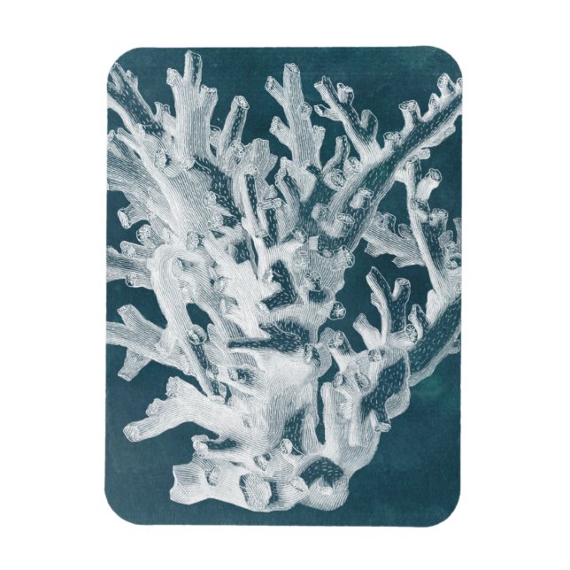 Azure Coral I Magnet (Vertikal)