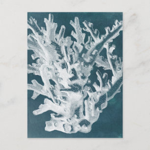 Azure Coral I Vykort