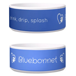 Azure 'drink drip splash' Dog Name Bowl