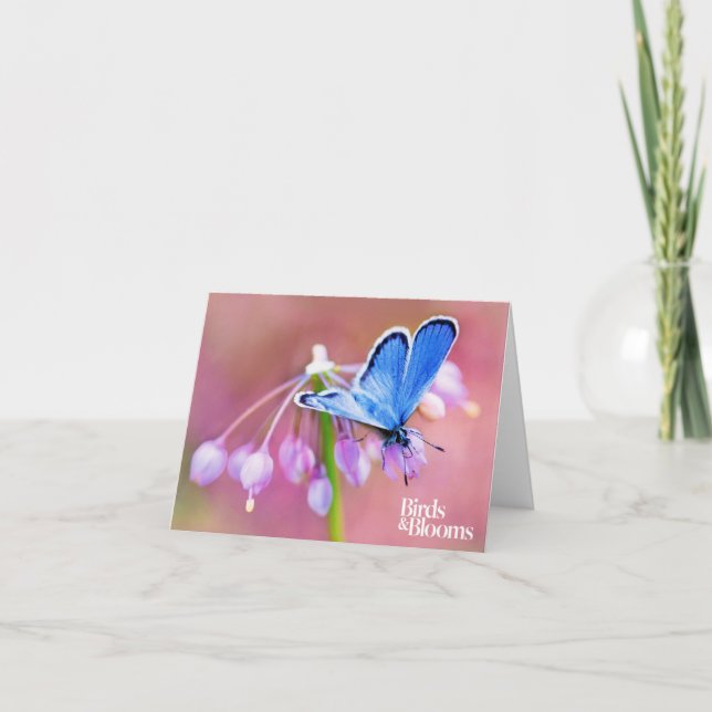 Azure fjäril kort (Framsida)