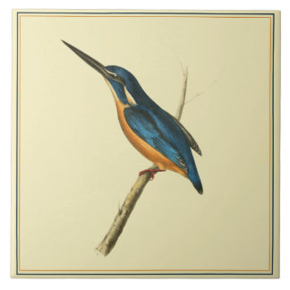 Azure Kingfisher Kakelplatta