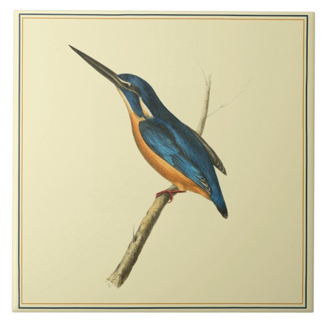 Azure Kingfisher Kakelplatta (Framsidan)