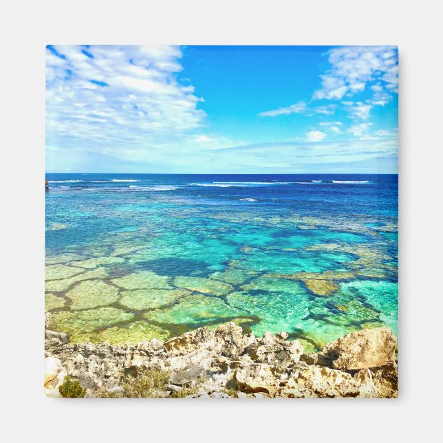 Azure Ocean Reef Magnet (Framsidan)