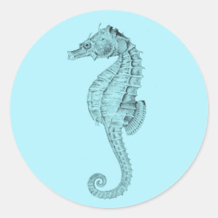 Azure Seahorse Sticker Runt Klistermärke